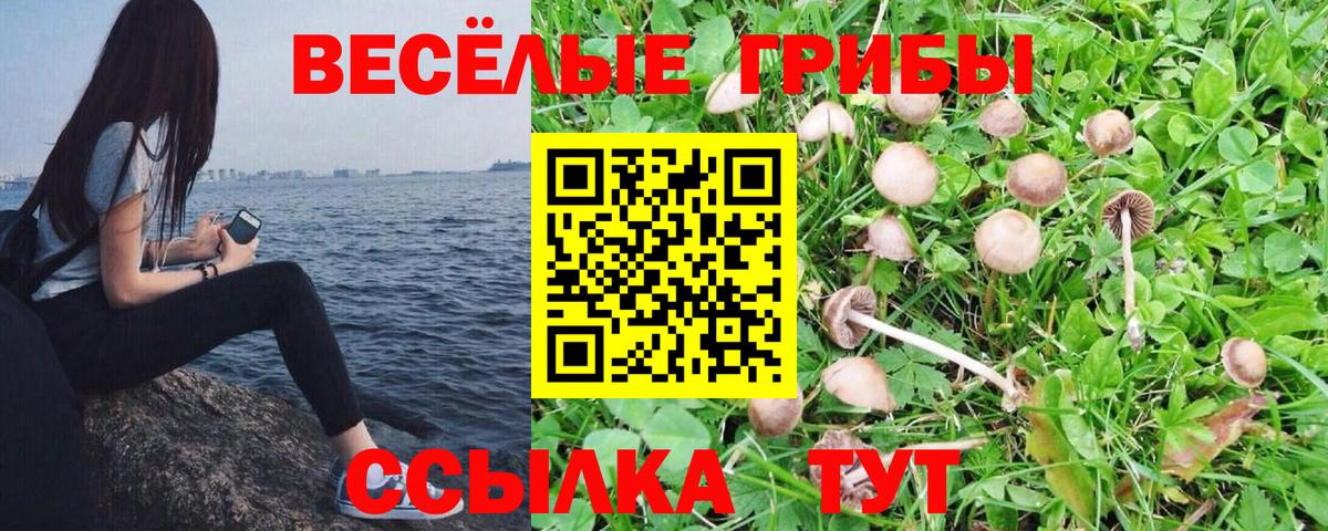 даркнет сайт  Вход с VPN  Тверь  Галлюциногенные грибы мицелий 
