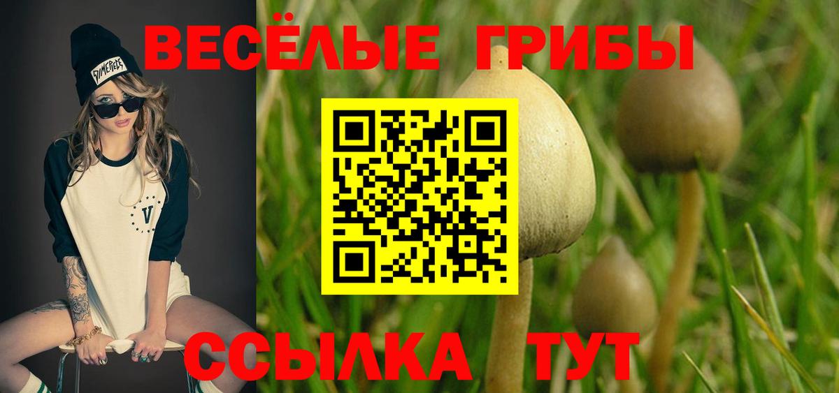 Галлюциногенные грибы MAGIC MUSHROOMS Тверь