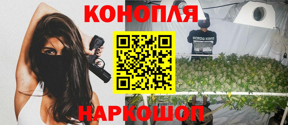 Бошки Шишки ГИДРОПОН  Канабис семена  Вход с VPN  МАРИХУАНА конопля  Тверь 